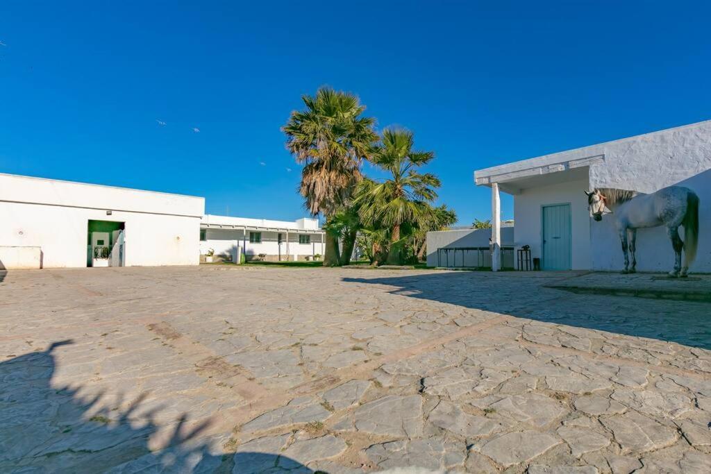 Habitaciones Rurales La Vega Ταρίφα Εξωτερικό φωτογραφία