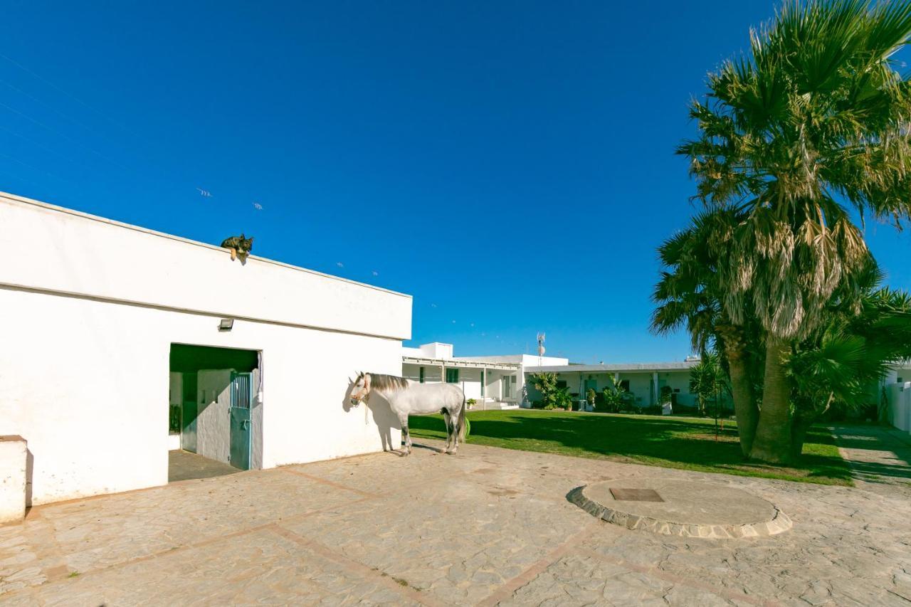 Habitaciones Rurales La Vega Ταρίφα Εξωτερικό φωτογραφία