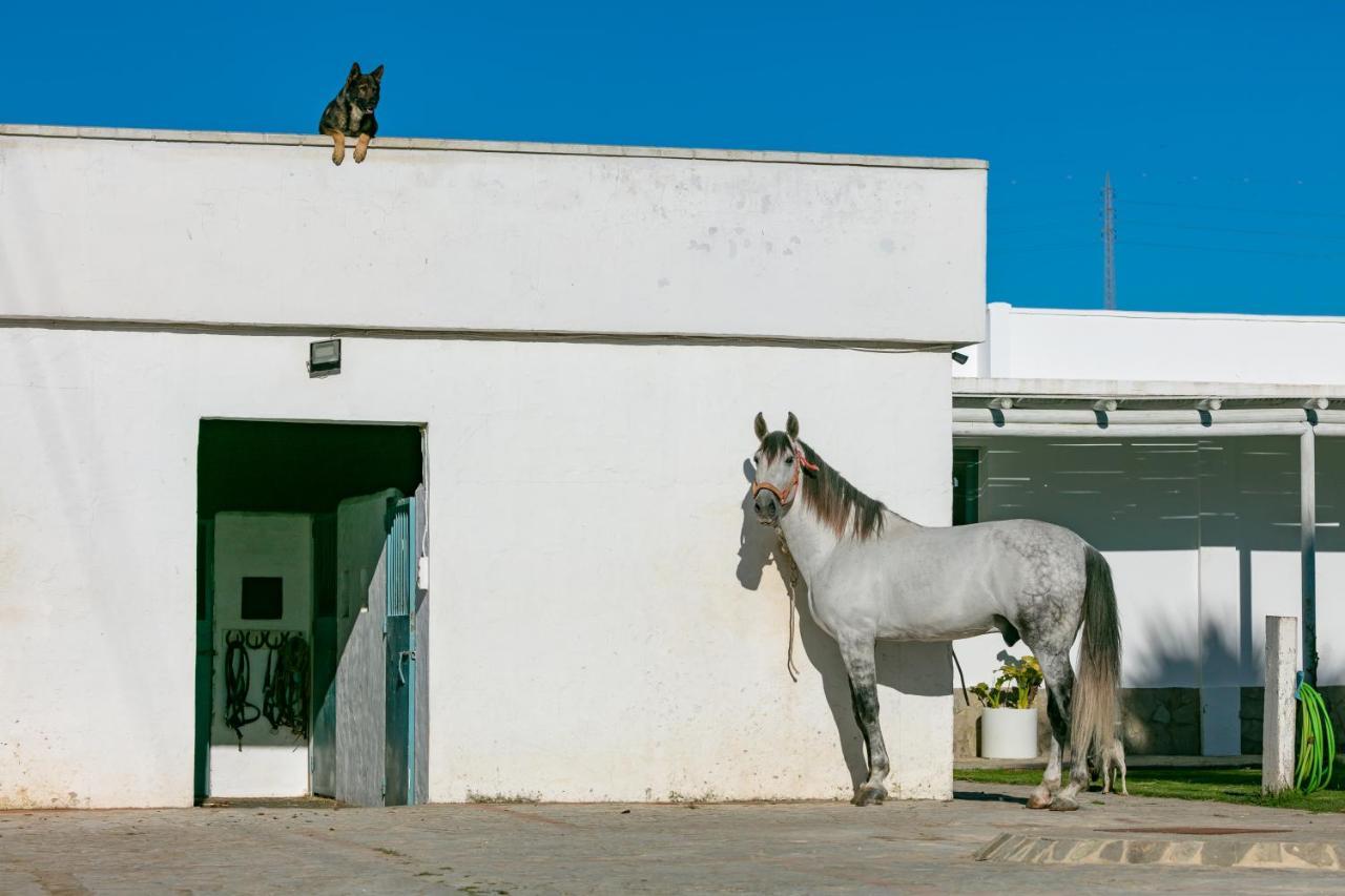 Habitaciones Rurales La Vega Ταρίφα Εξωτερικό φωτογραφία